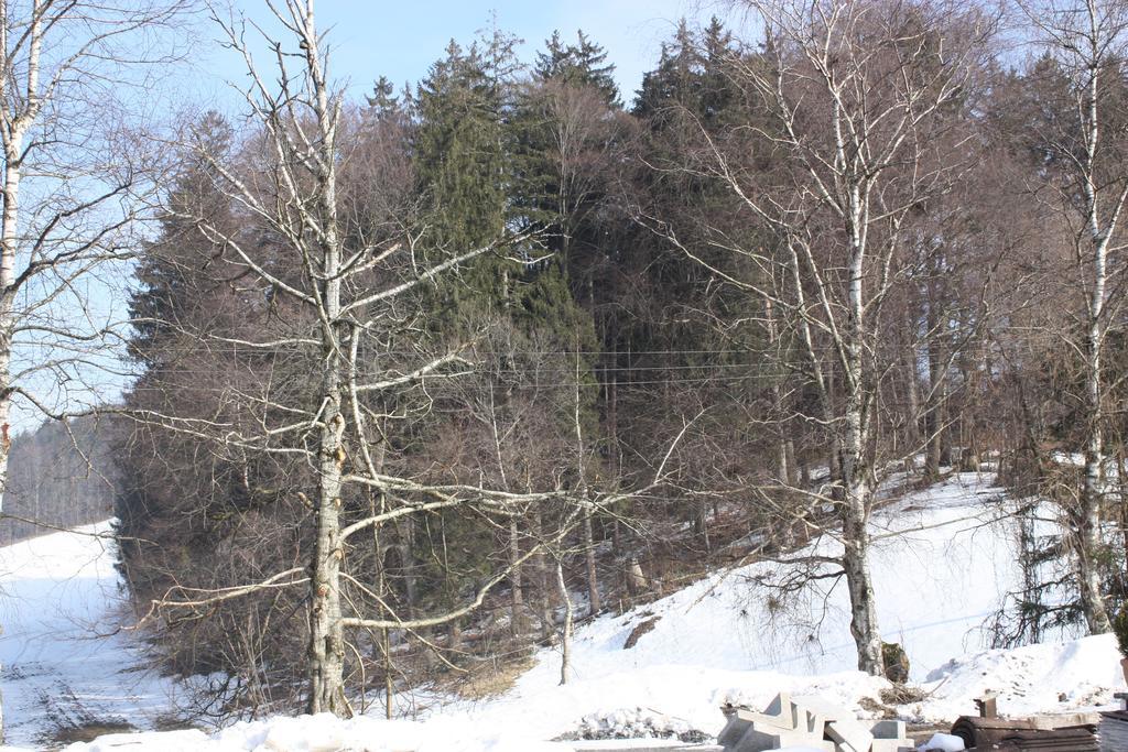 Ferienwohnungen Neukirchen Neukirchen am Teisenberg Εξωτερικό φωτογραφία