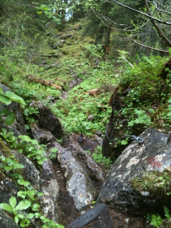 Ferienwohnungen Neukirchen Neukirchen am Teisenberg Εξωτερικό φωτογραφία